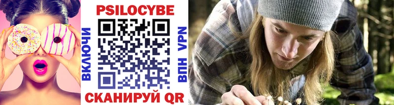 наркота Малая Вишера Галлюциногенные грибы ЛСД